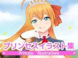 プリンセスイラスト集-FANZA-