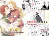 白い結婚‐王と王妃の恋ものがたり‐