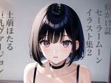 虹かけ誌 セーラームーン イラスト集2 土萠ほたる 巨乳ヴァージョン