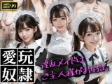 愛玩奴●?淫乱メイドはご主人様がお好き。?